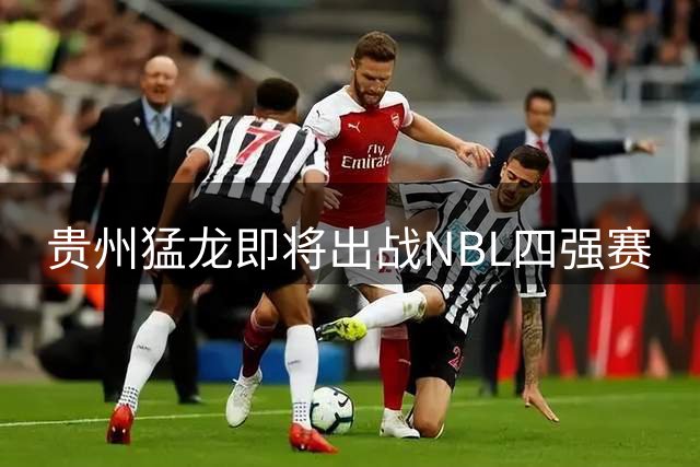 贵州猛龙即将出战NBL四强赛