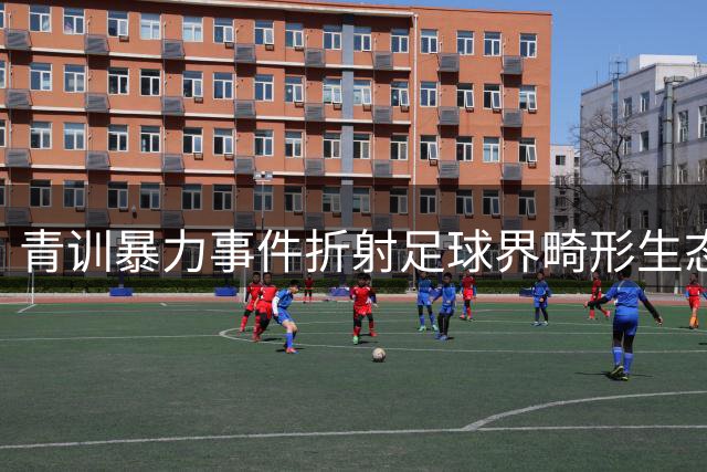 青训暴力事件折射足球界畸形生态
