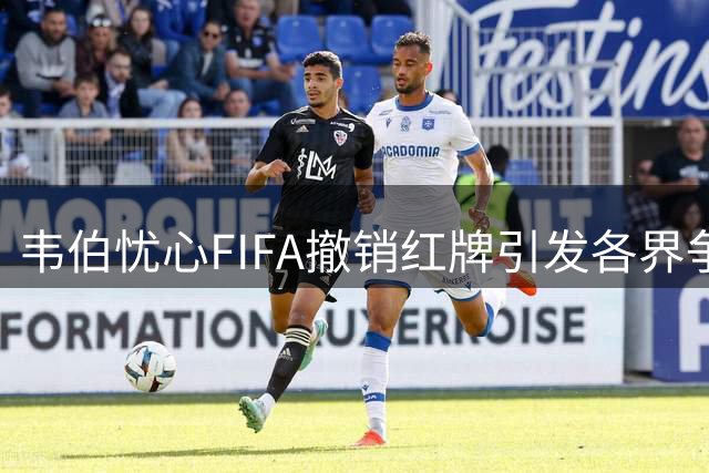 韦伯忧心FIFA撤销红牌引发各界争议